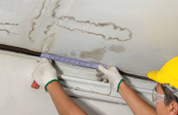 Reliable Structural Drying contractor in Free Soil, MI by Water Damage Irwin